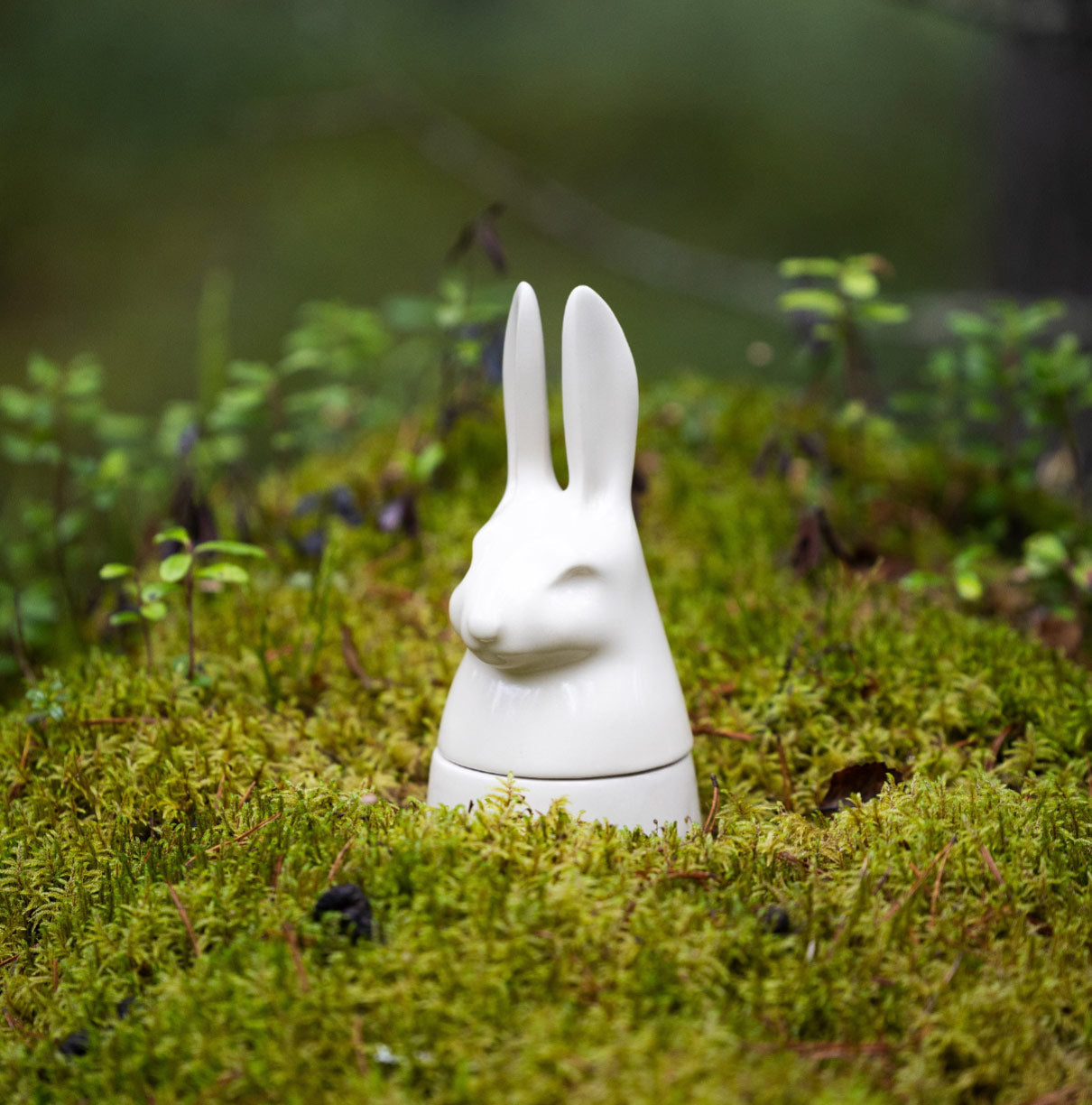 Rabbit