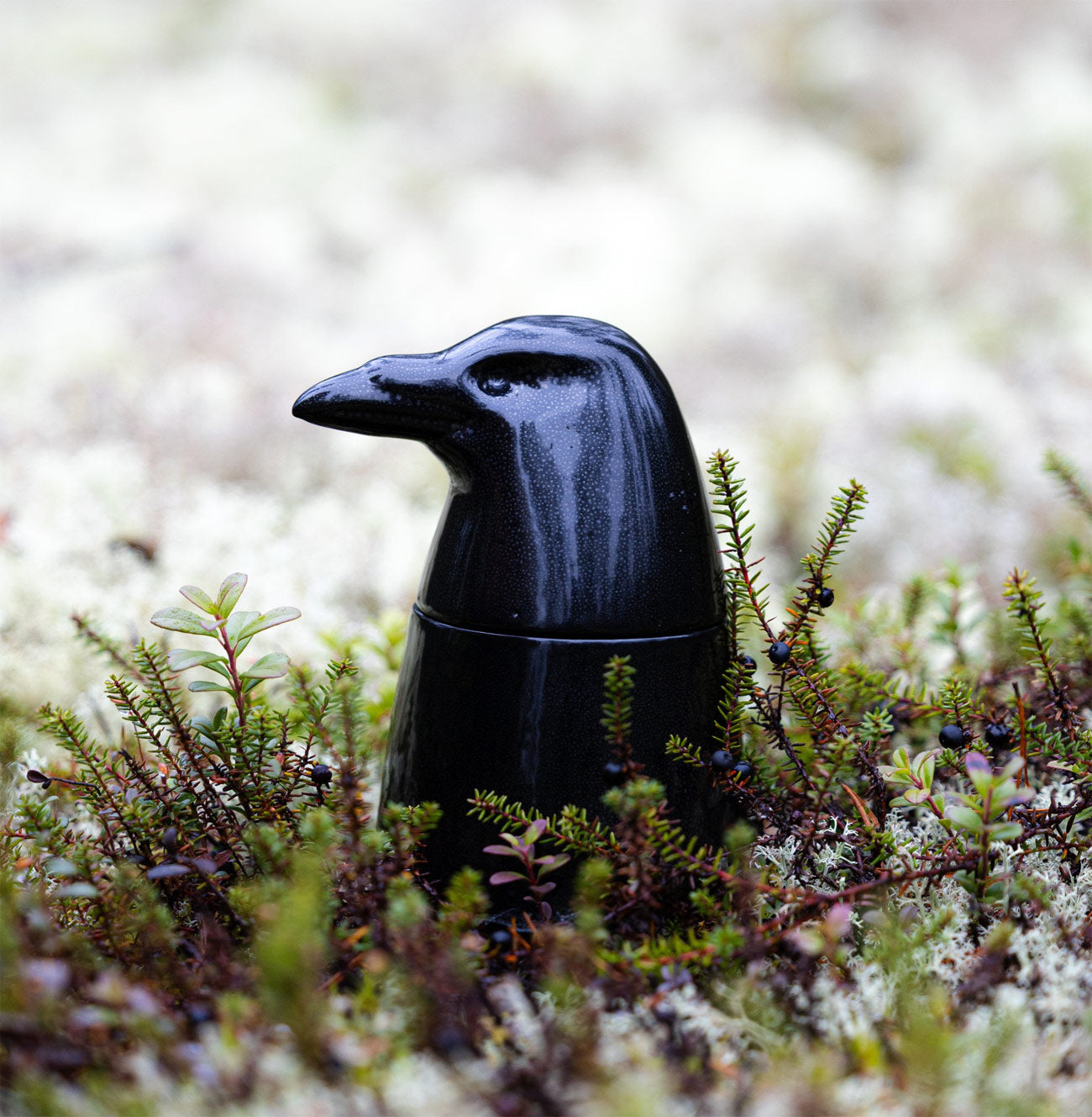 Raven