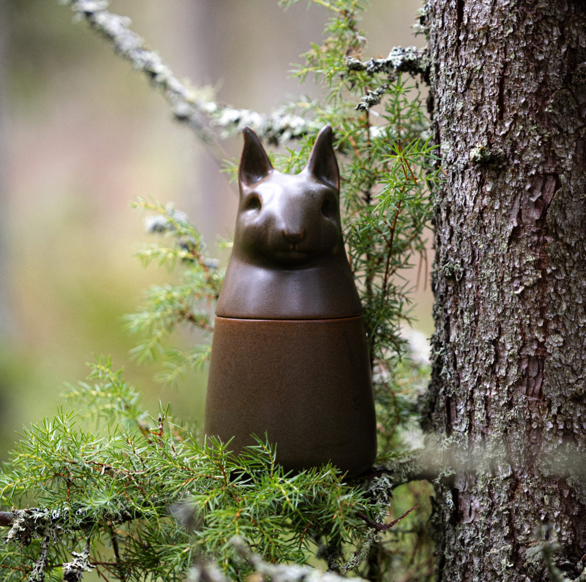 Squirrel