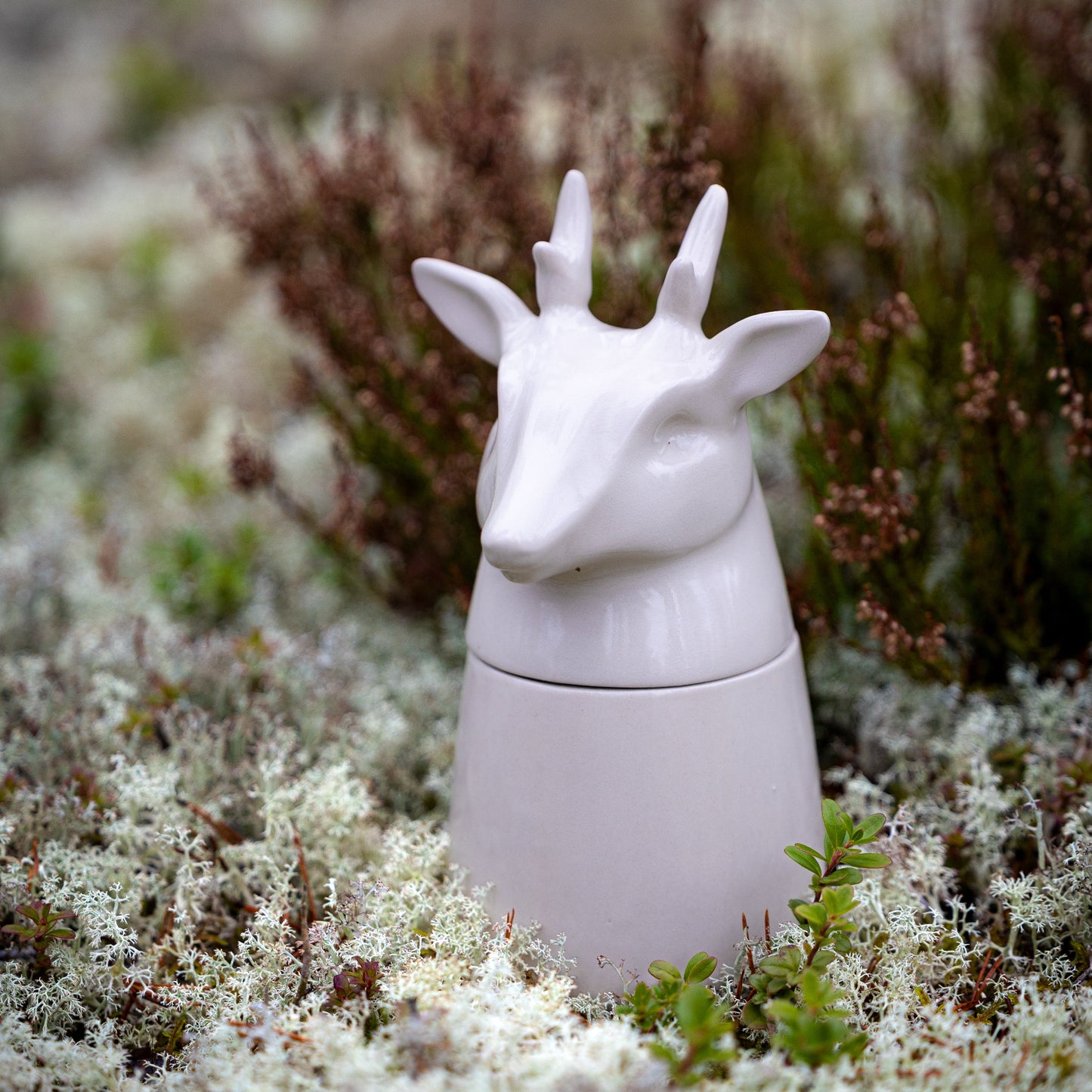 Ikimetsä - Deer with small antlers (White)